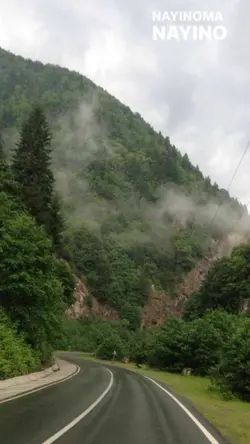 NAYİNO