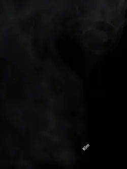 មិនងាយថតមុខសុីន