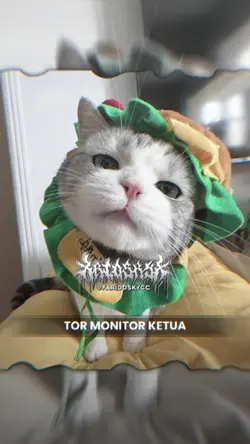 DJ TOR MONITOR KETUA