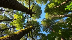 Oh so you like green