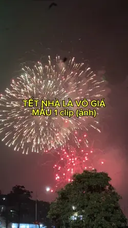 Pháo hoa Tết 