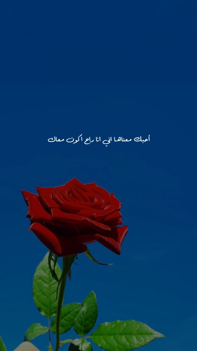 احبك معناها