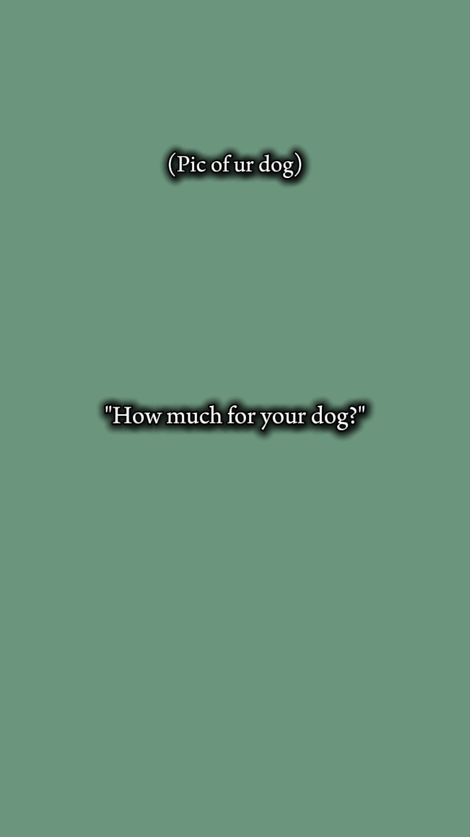 Perro