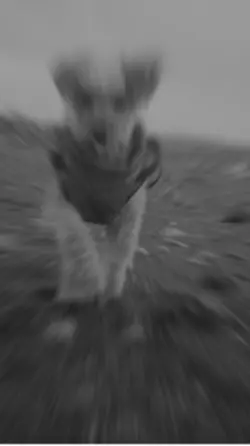 Life on Film