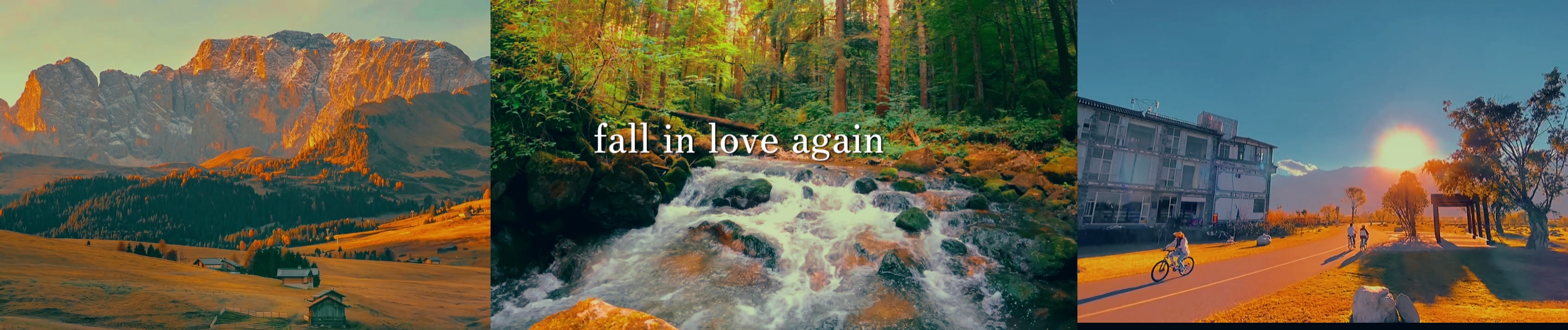 fall in love again