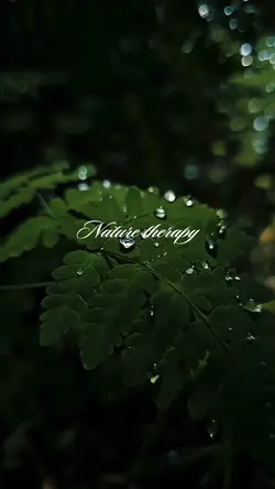nature therapy