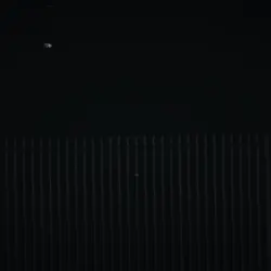funnybunny is dying