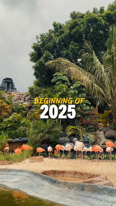 Awal tahun 2025