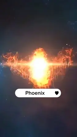 Phoenix 