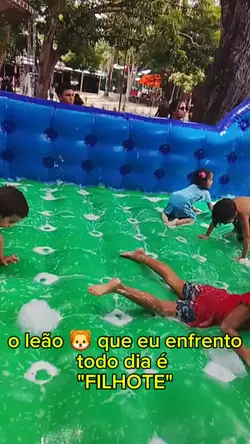 meu leão do dia