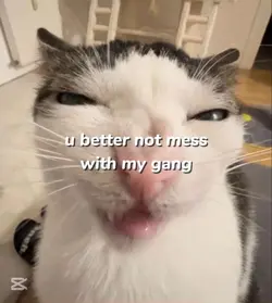 U better not..