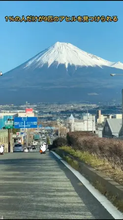 動くアヒルを探して