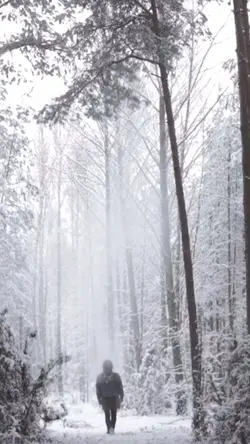 Simple 6 video clips