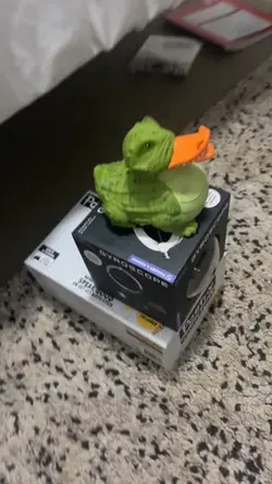 D u c k s ๐ฆ๐ฆ๐ฆ๐ฆ
