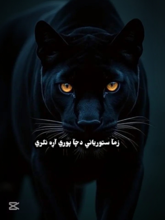 سورياني