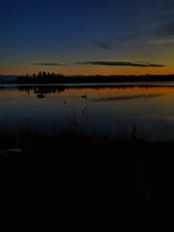 älskade grim❤️‍🩹