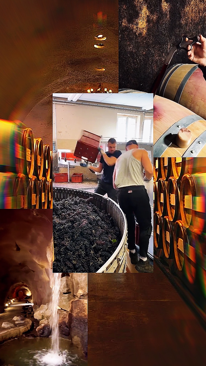 Weinkellerei
