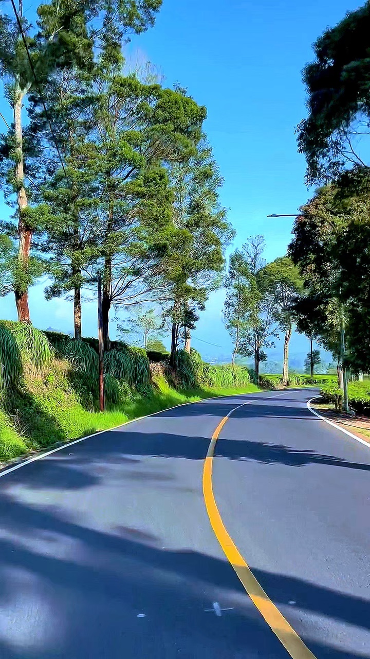 5 video road trip