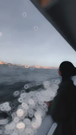 Slow + Motion ❤️🦋🔥