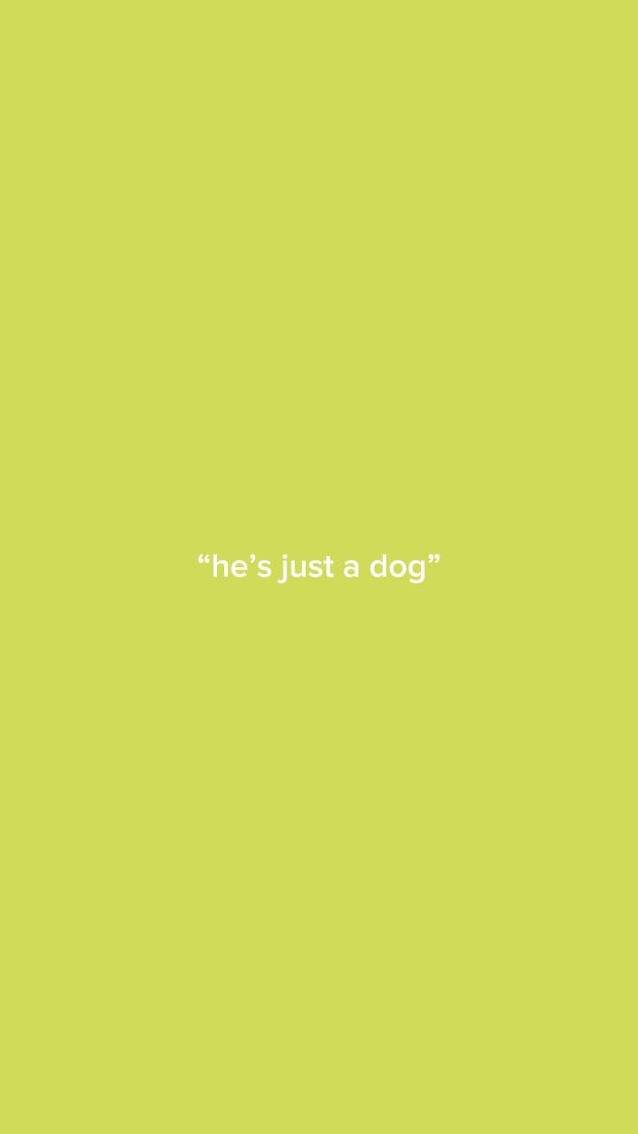 He’s just a dog💕