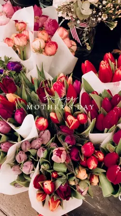 Happy Mother's Day