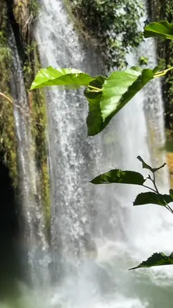 slowmotion velocity