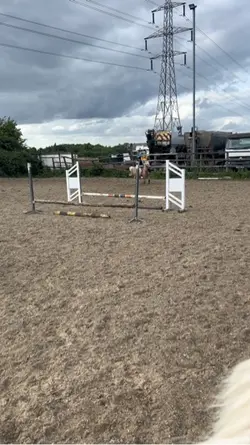 Bareback grid on fox