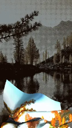 7 video or photo