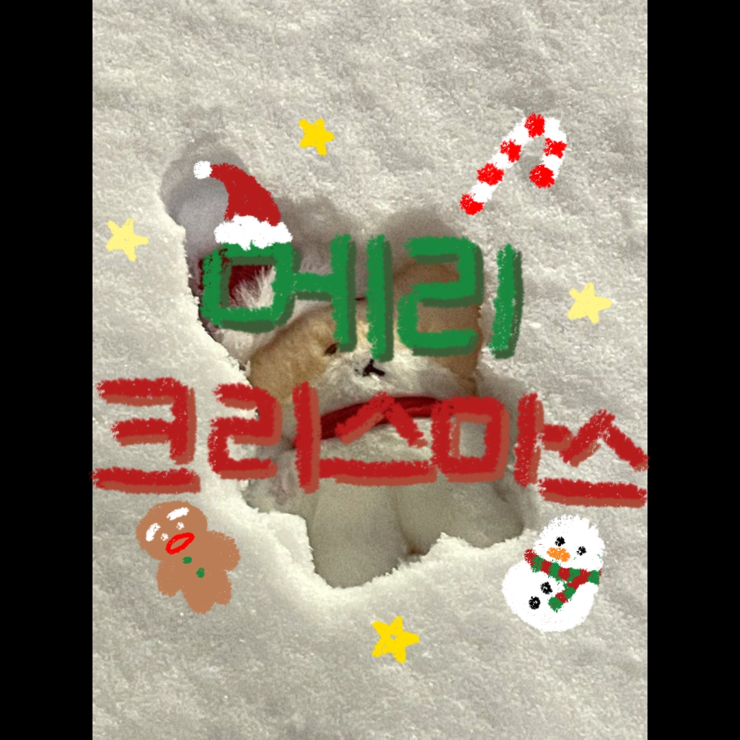 쓰면 후회 안 하는 템플릿