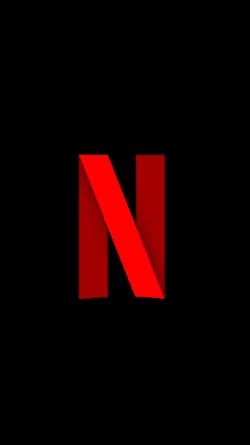 NETFLIX OPENING
