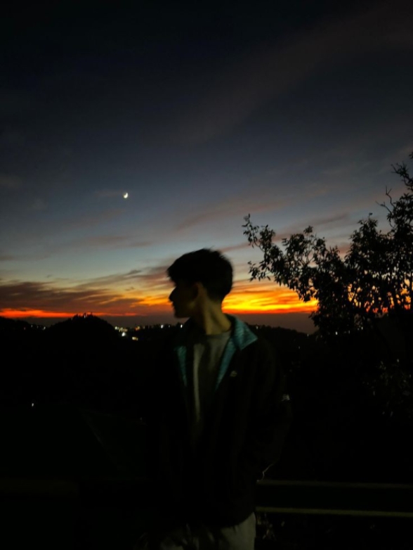 Cover Picture