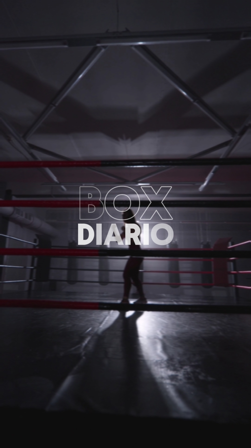 Box Diario