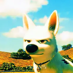 BOLT 2008