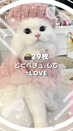 🎵とくべチュ、して