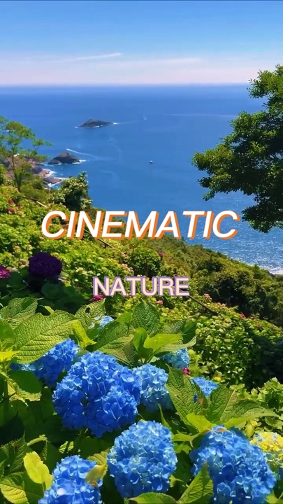 CINEMATIC NATURE