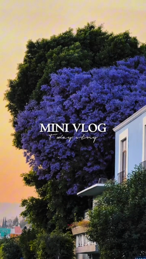 Mini vlog hoje