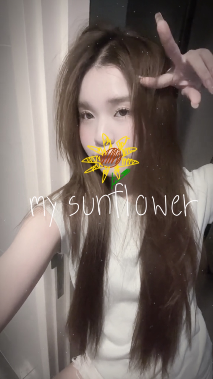 Meine Sonnenblume