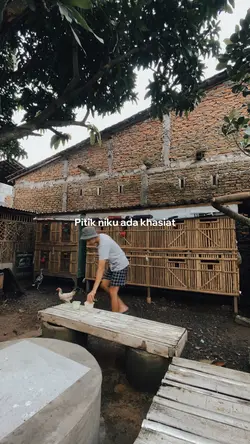 PITIK NIKU ADA