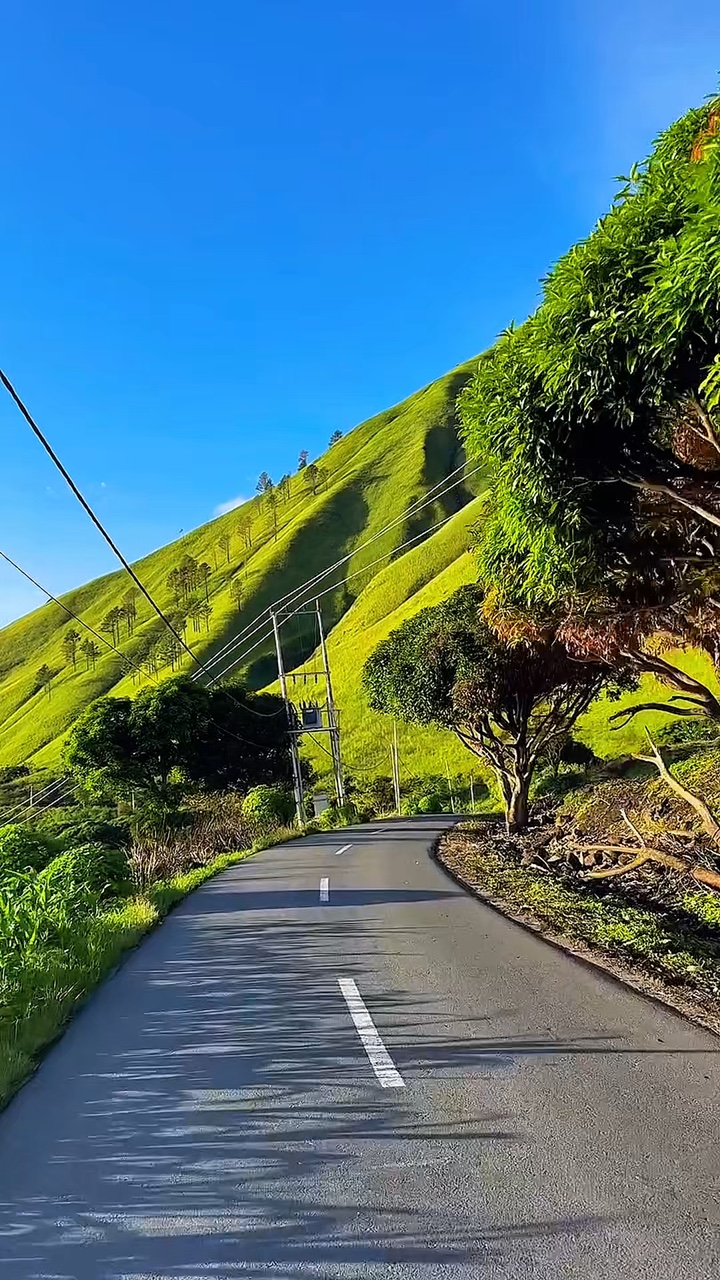 road trip moments 