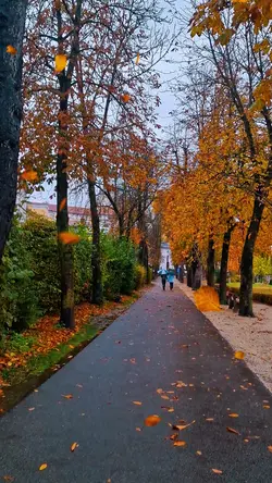 autumn