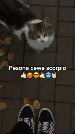 PESONA CEWE SCORPIO
