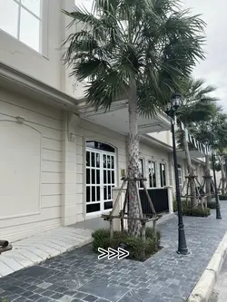 เลื่อนรูป2รูป