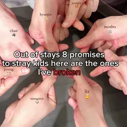 Skz 8 promises 