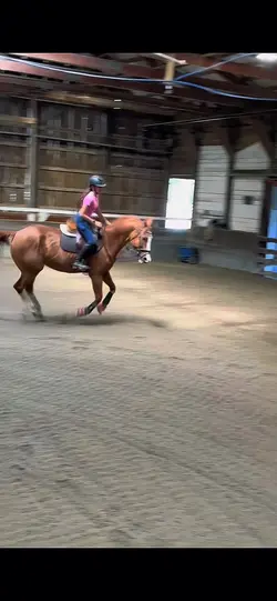 ok jumper turns 😼