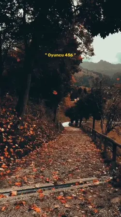 oyuncu 456