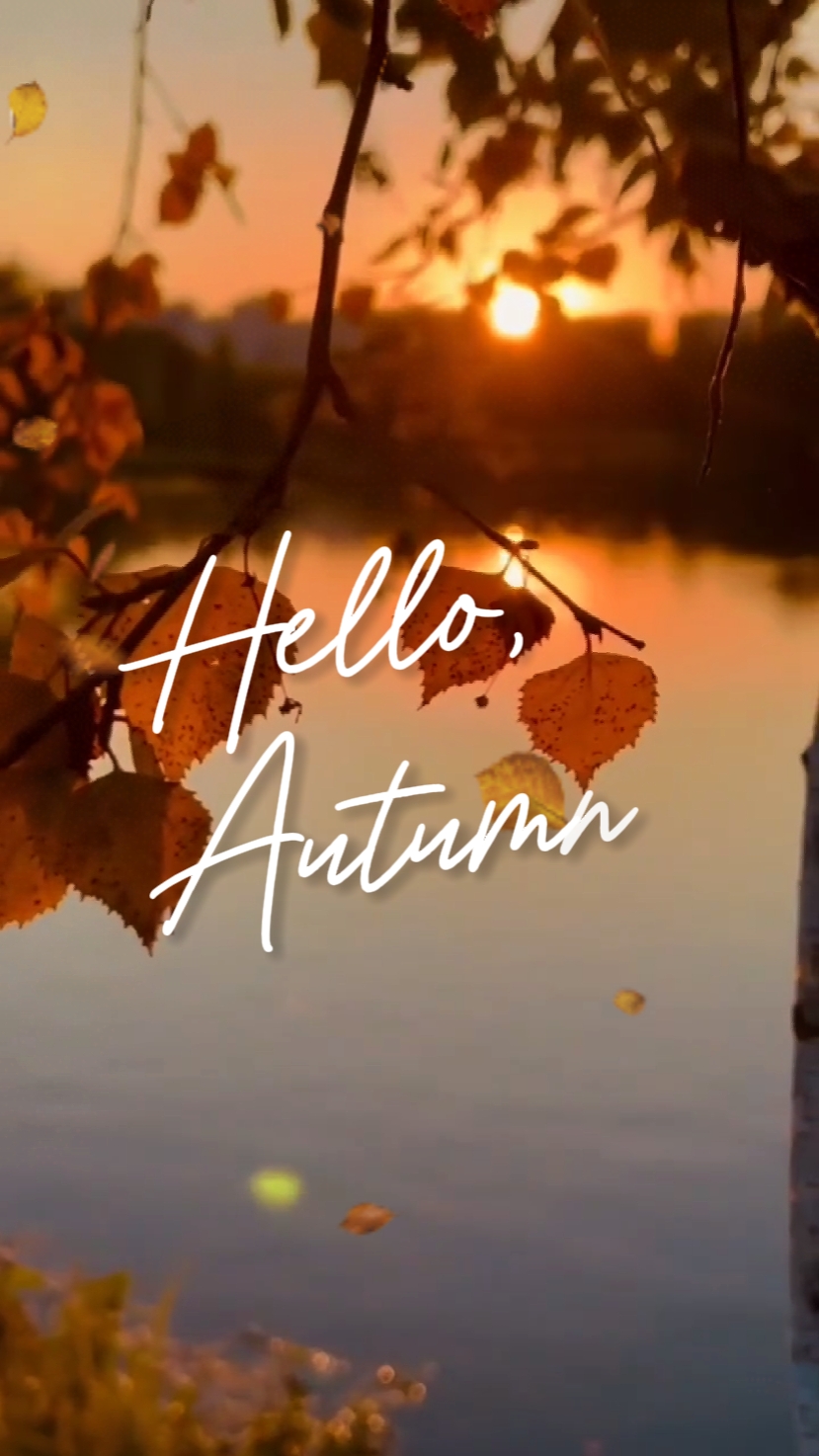 hallo herbst