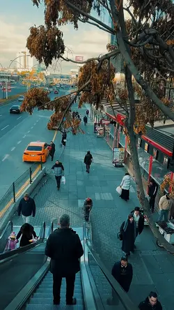 7 video clips