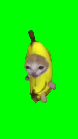 cat banana meme