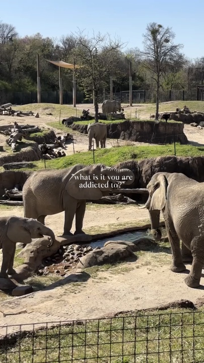 Zoo