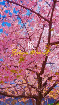 Beautiful Spring